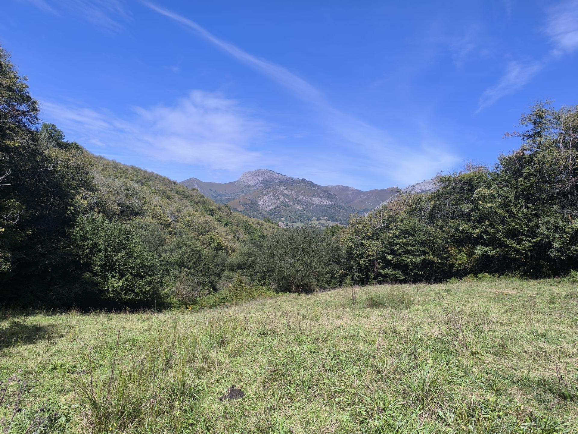 Pisos-Venta-Sobrescobio-2411376-Foto-20