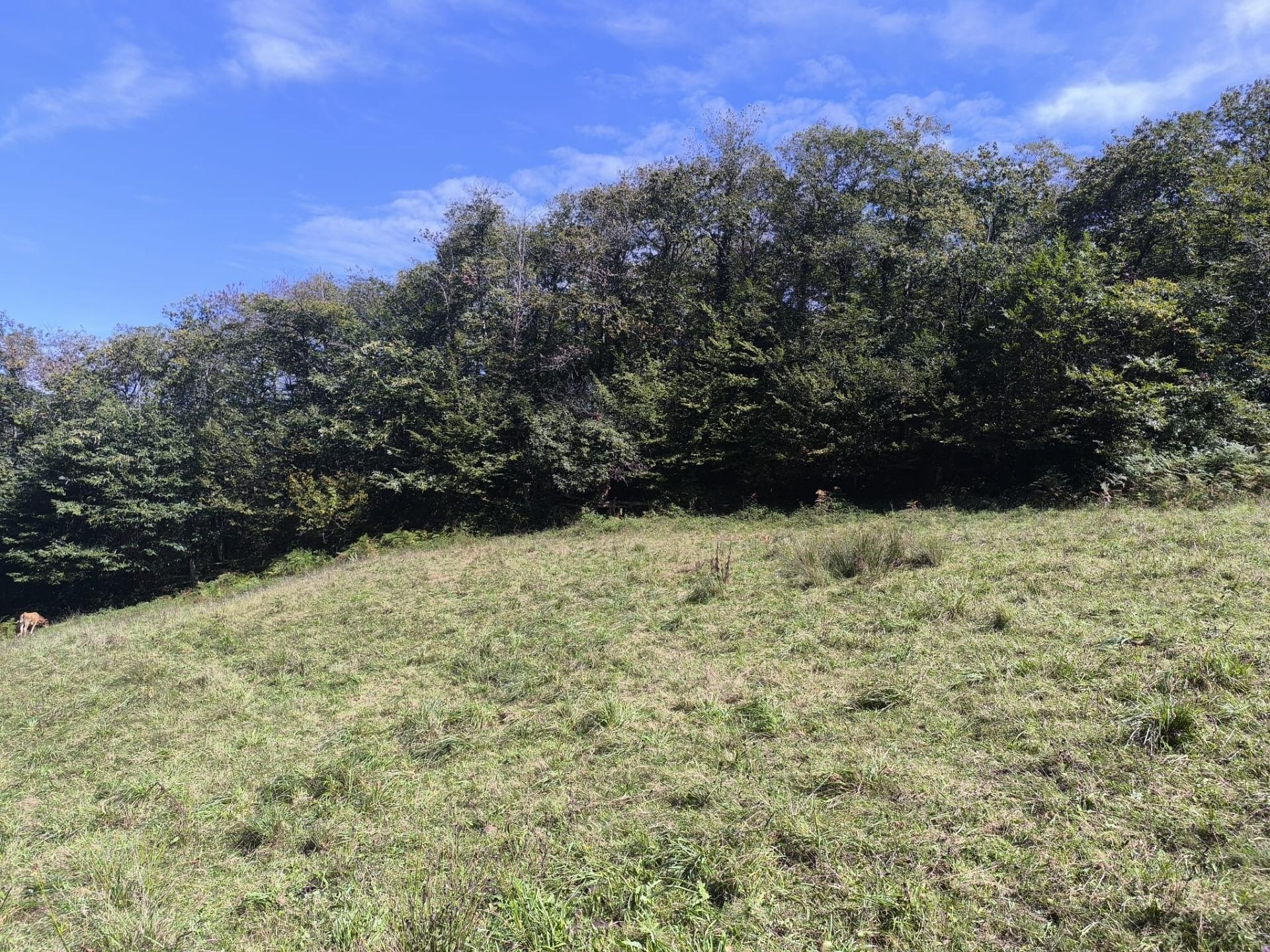 Pisos-Venta-Sobrescobio-2411376-Foto-30