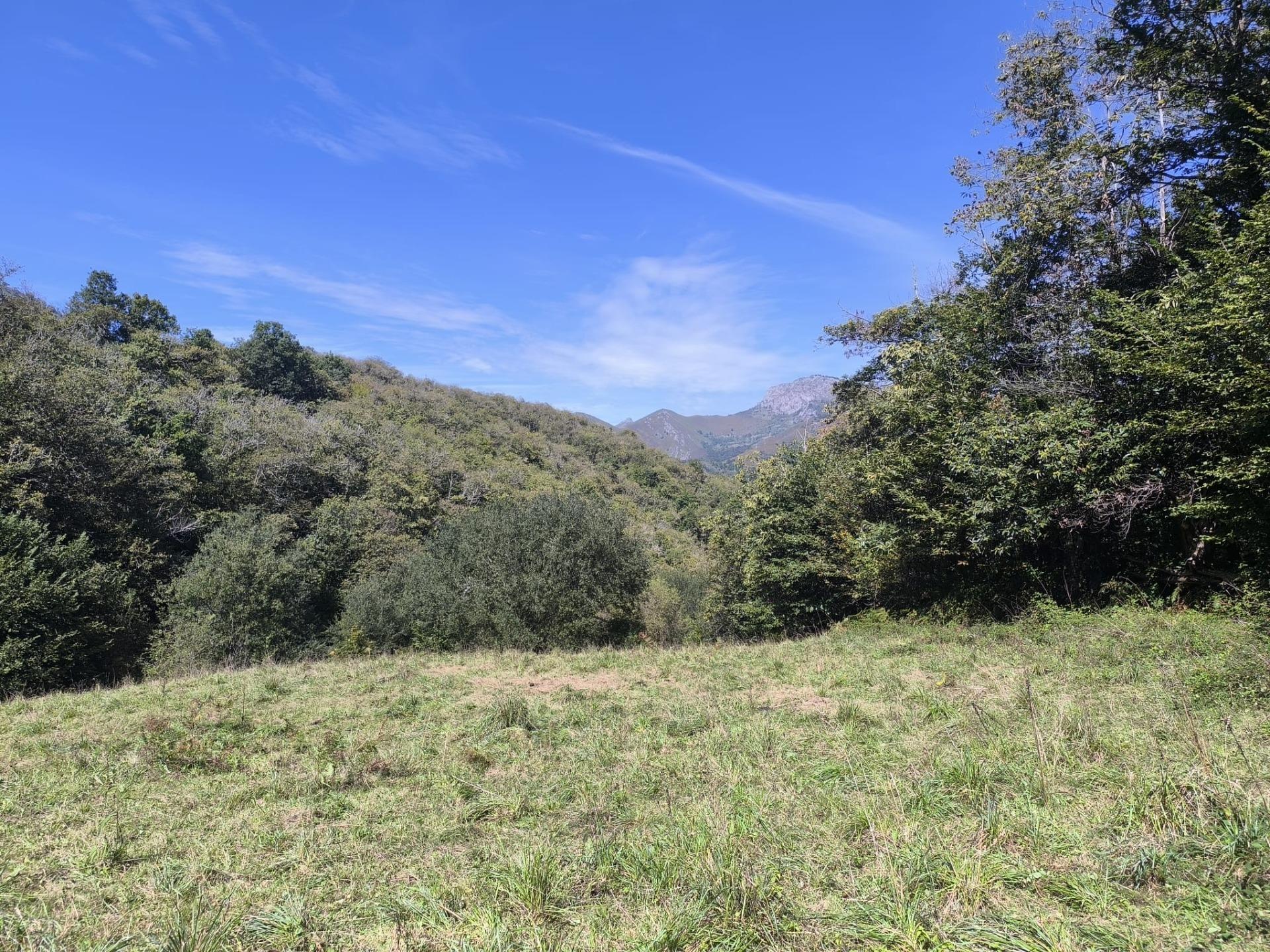 Pisos-Venta-Sobrescobio-2411376-Foto-28