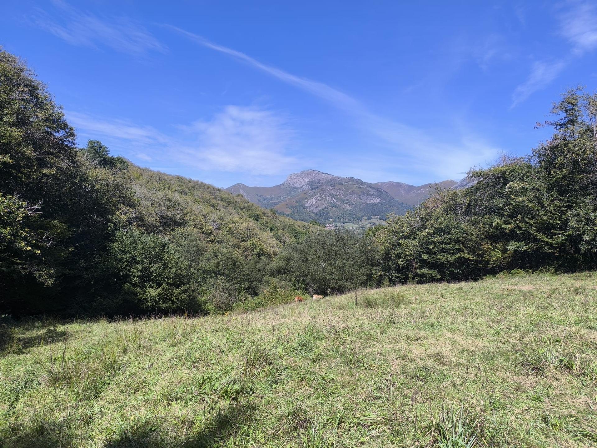Pisos-Venta-Sobrescobio-2411376-Foto-34