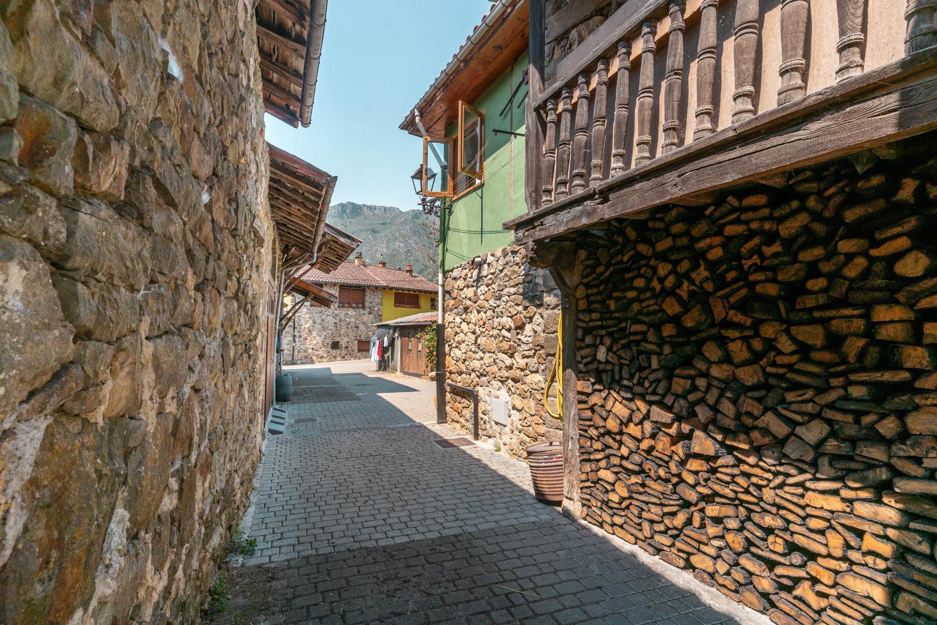 Pisos-Venta-Sobrescobio-2411376-Foto-37