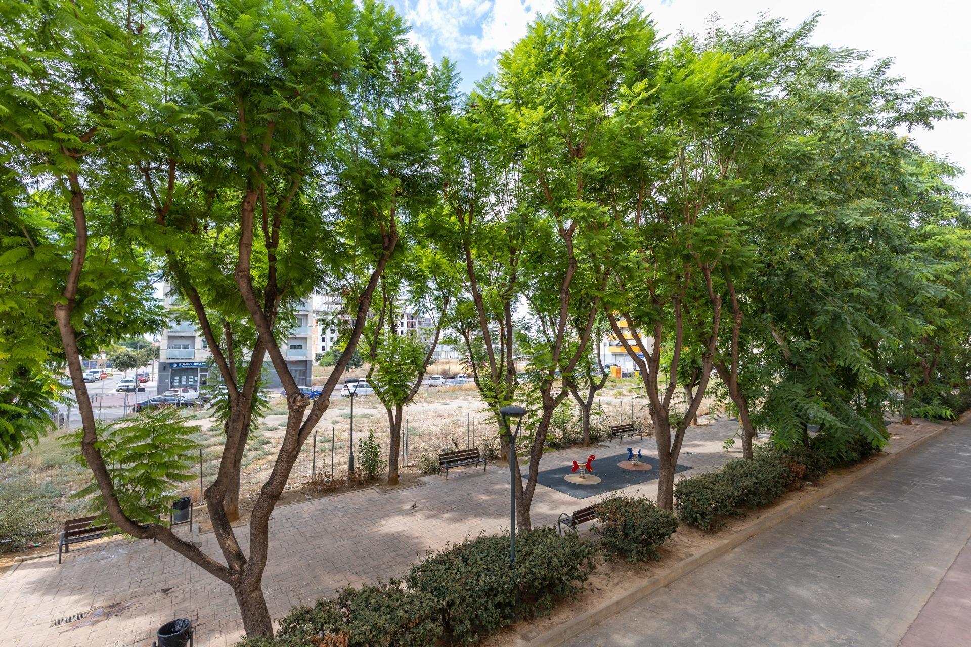 Pisos-Venta-Albal-2411364-Foto-26