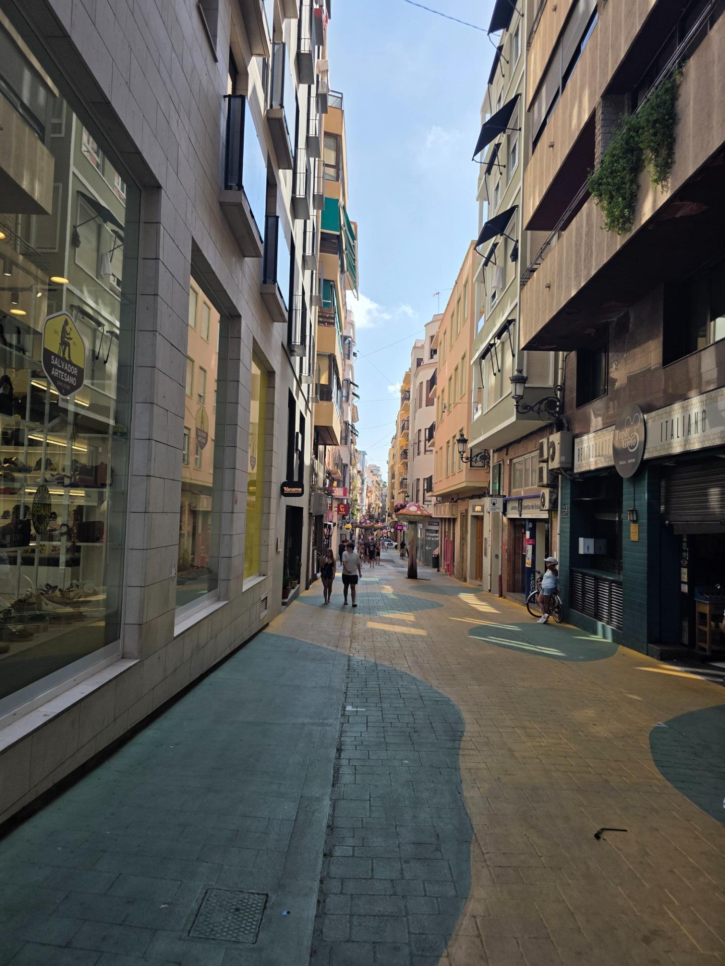 Pisos-Venta-Alicante-2411385-Foto-27
