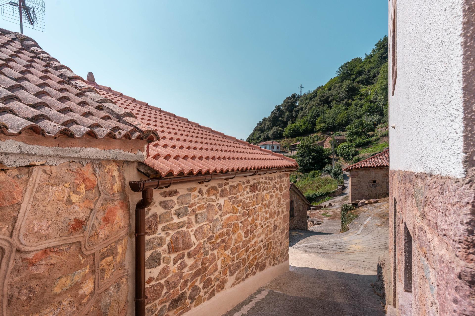 Casas o chalets-Venta-Somiedo-2411445-Foto-46