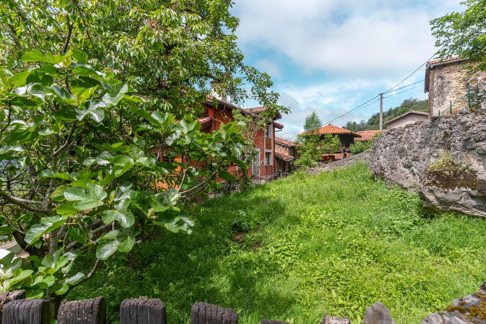 Casas o chalets-Venta-Villena-2256087-Foto-3