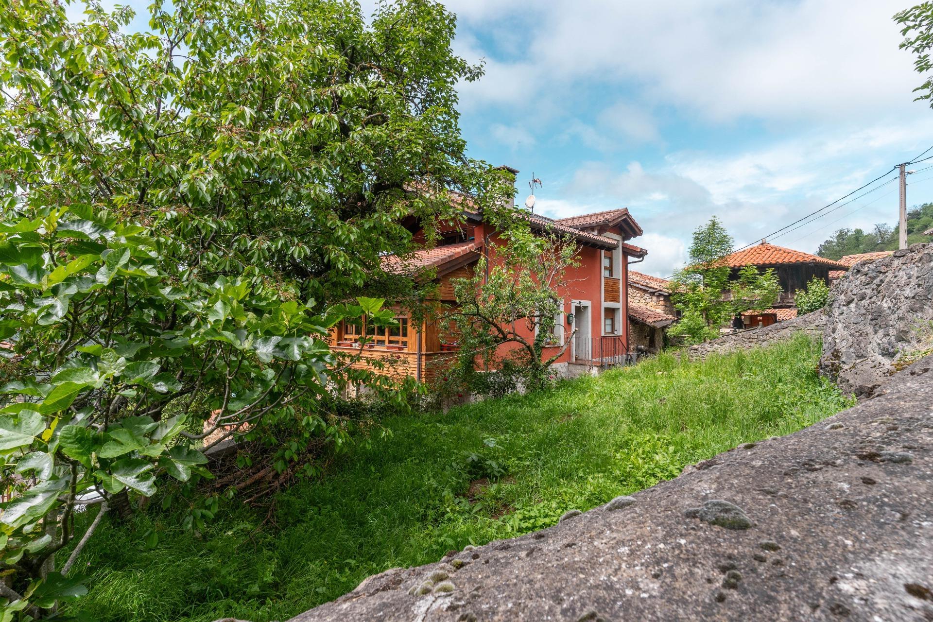 Casas o chalets-Venta-Villena-2256087-Foto-17