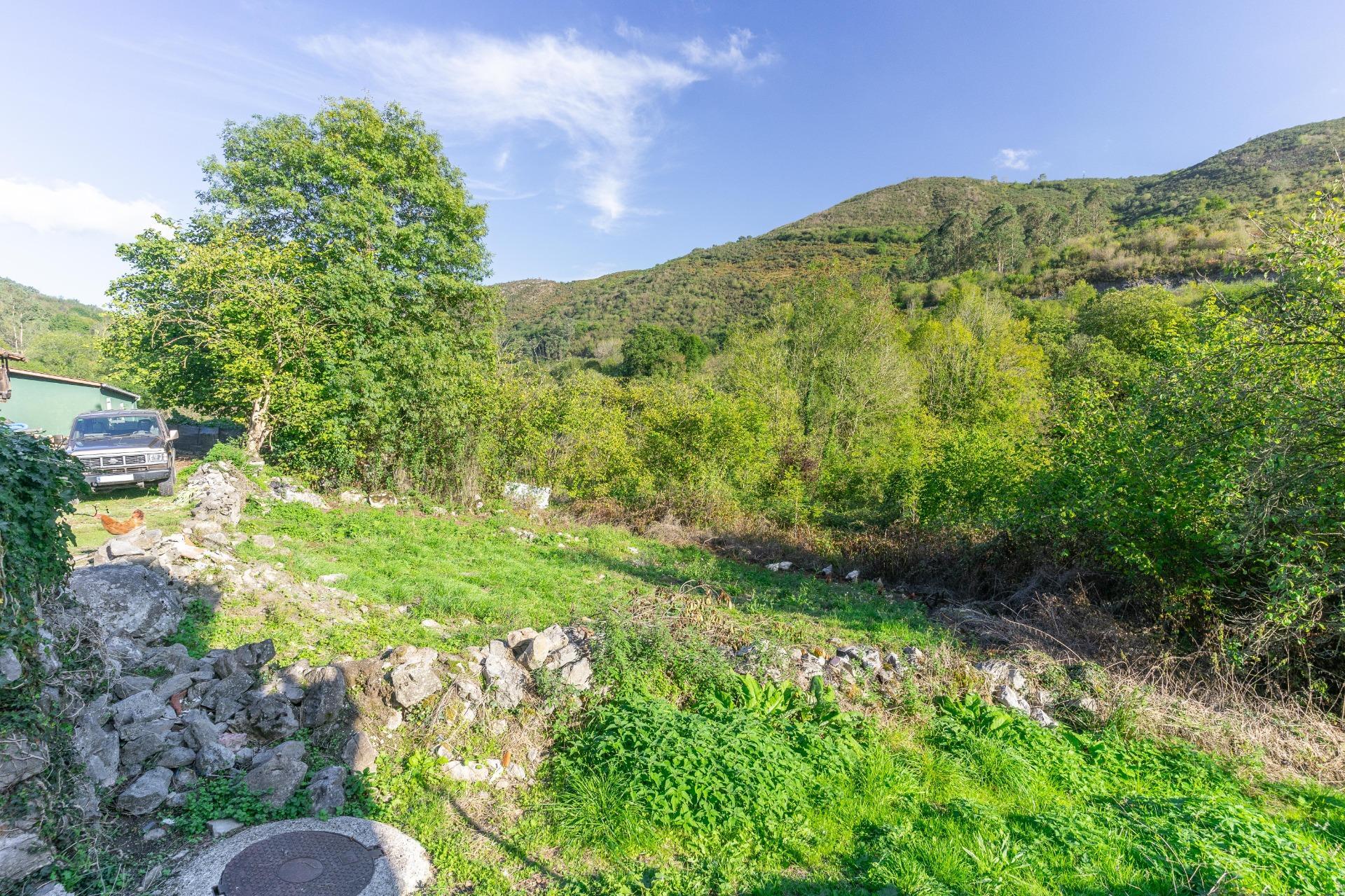 Casas o chalets-Venta-Ribera de Arriba-2015698-Foto-67