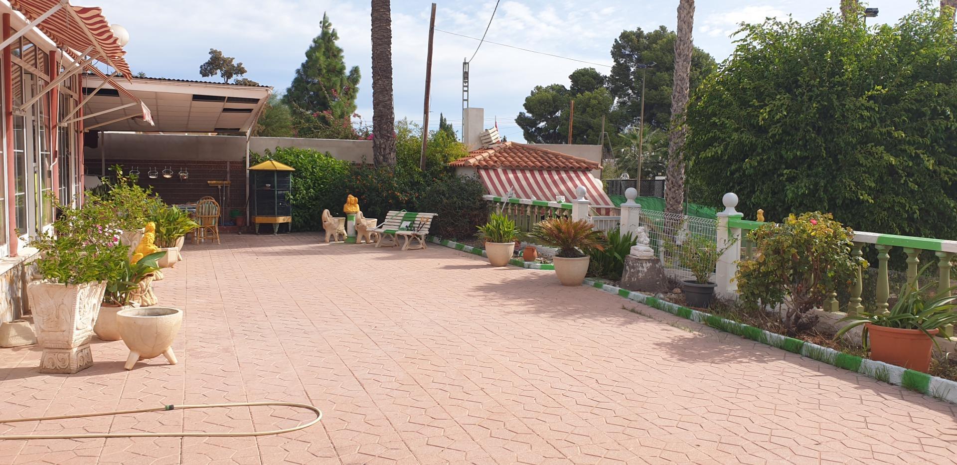 Casas o chalets-Venta-Elche-1039941-Foto-3