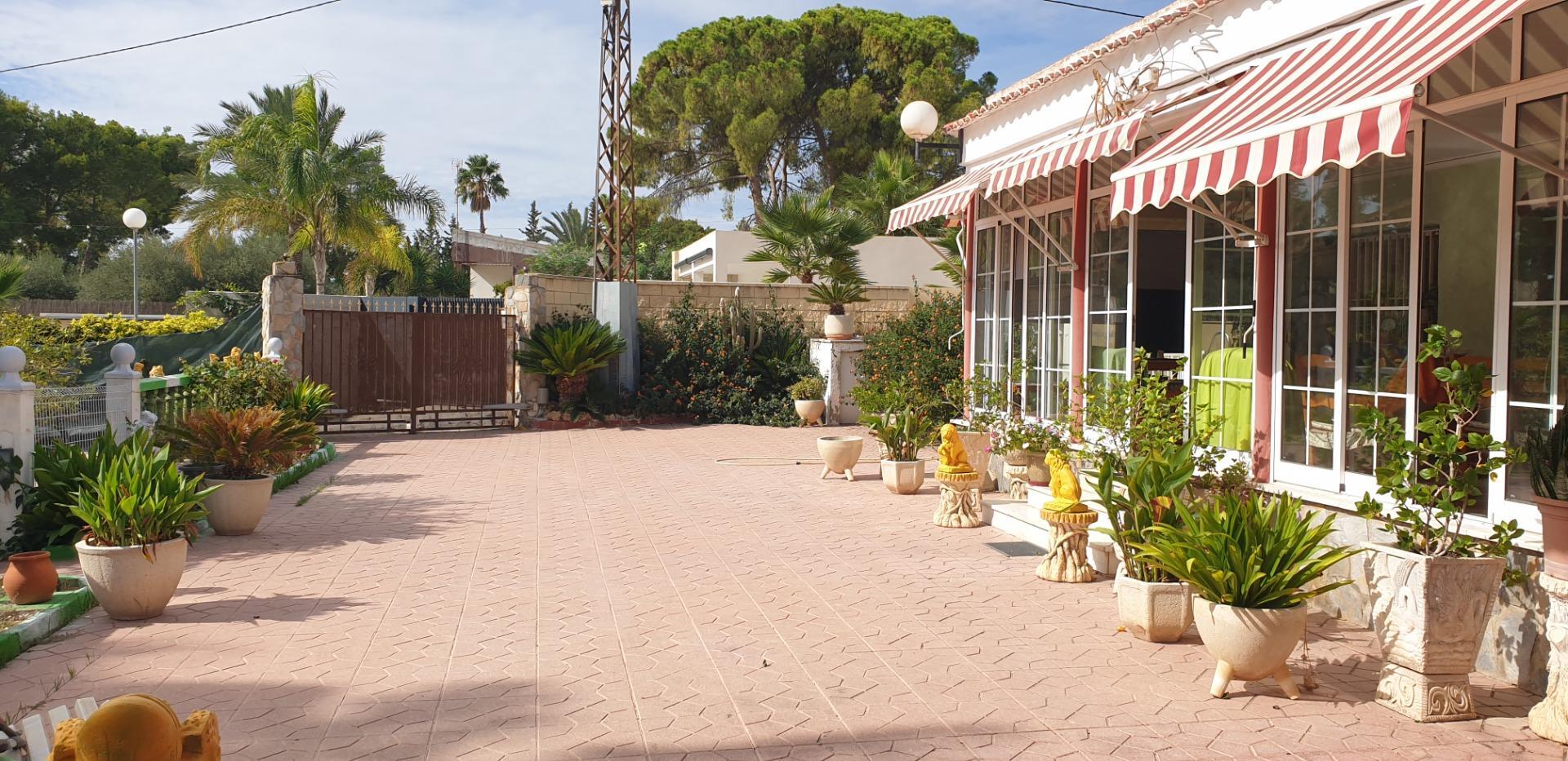 Casas o chalets-Venta-Elche-1039941