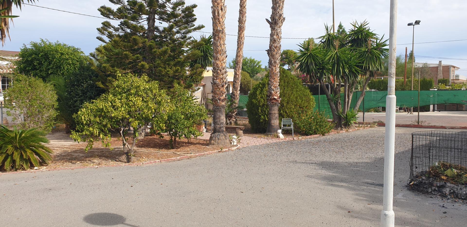 Casas o chalets-Venta-Elche-1039941-Foto-12