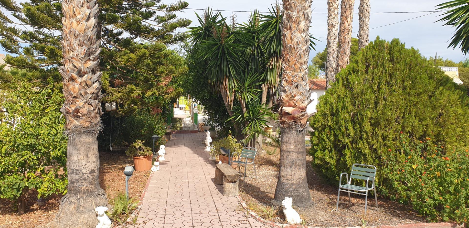 Casas o chalets-Venta-Elche-1039941-Foto-14