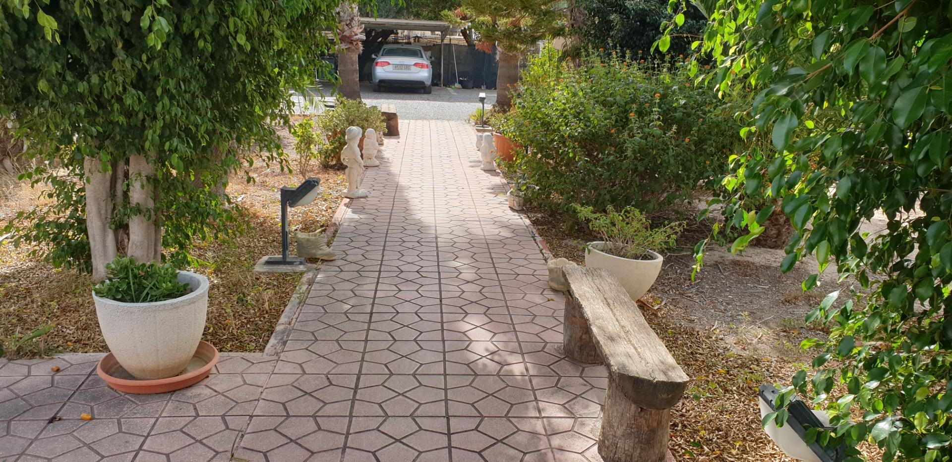 Casas o chalets-Venta-Elche-1039941-Foto-13