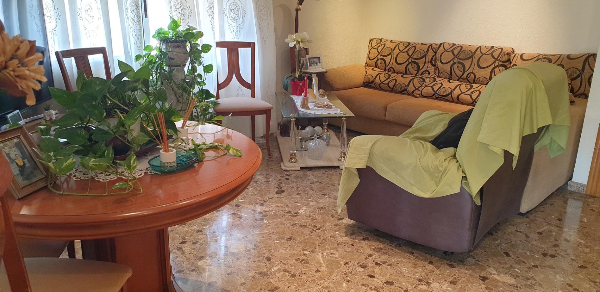 Casas o chalets-Venta-Elche-1039941-Foto-16
