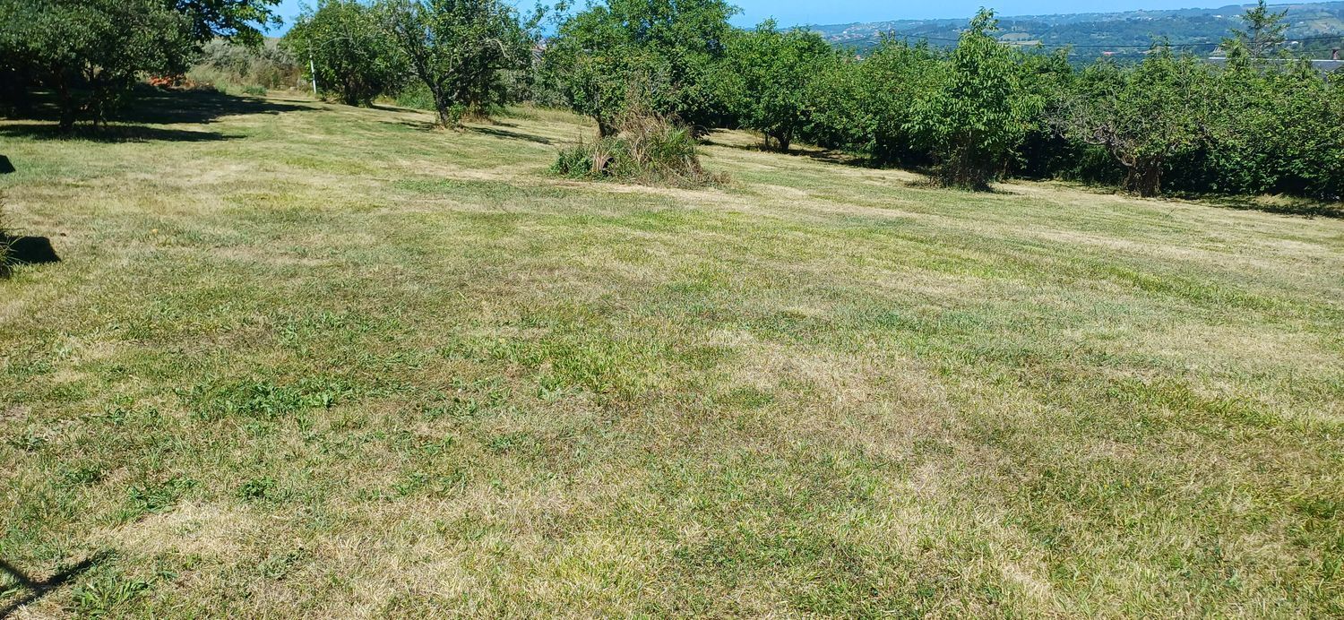 Casas o chalets-Venta-GijÃ³n-2410815-Foto-42