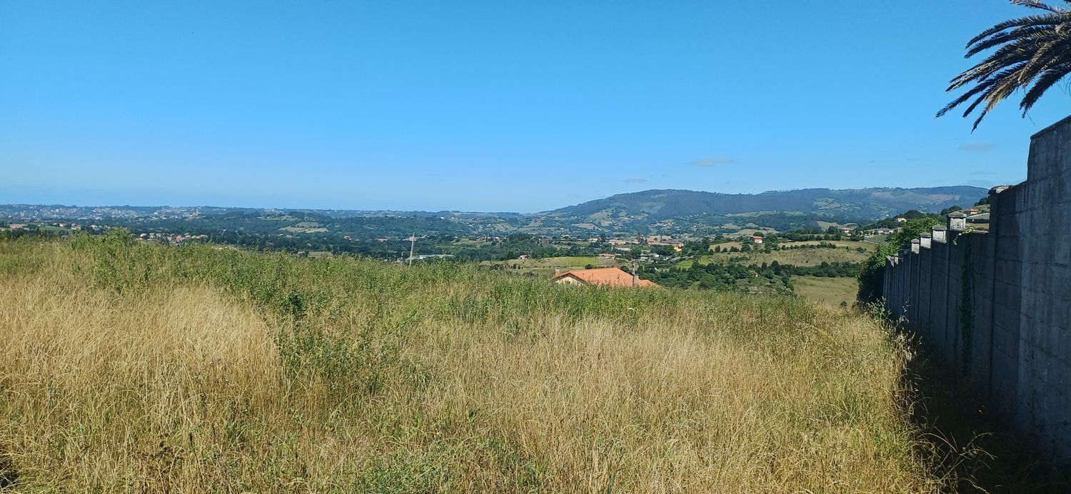 Casas o chalets-Venta-GijÃ³n-2410815-Foto-66