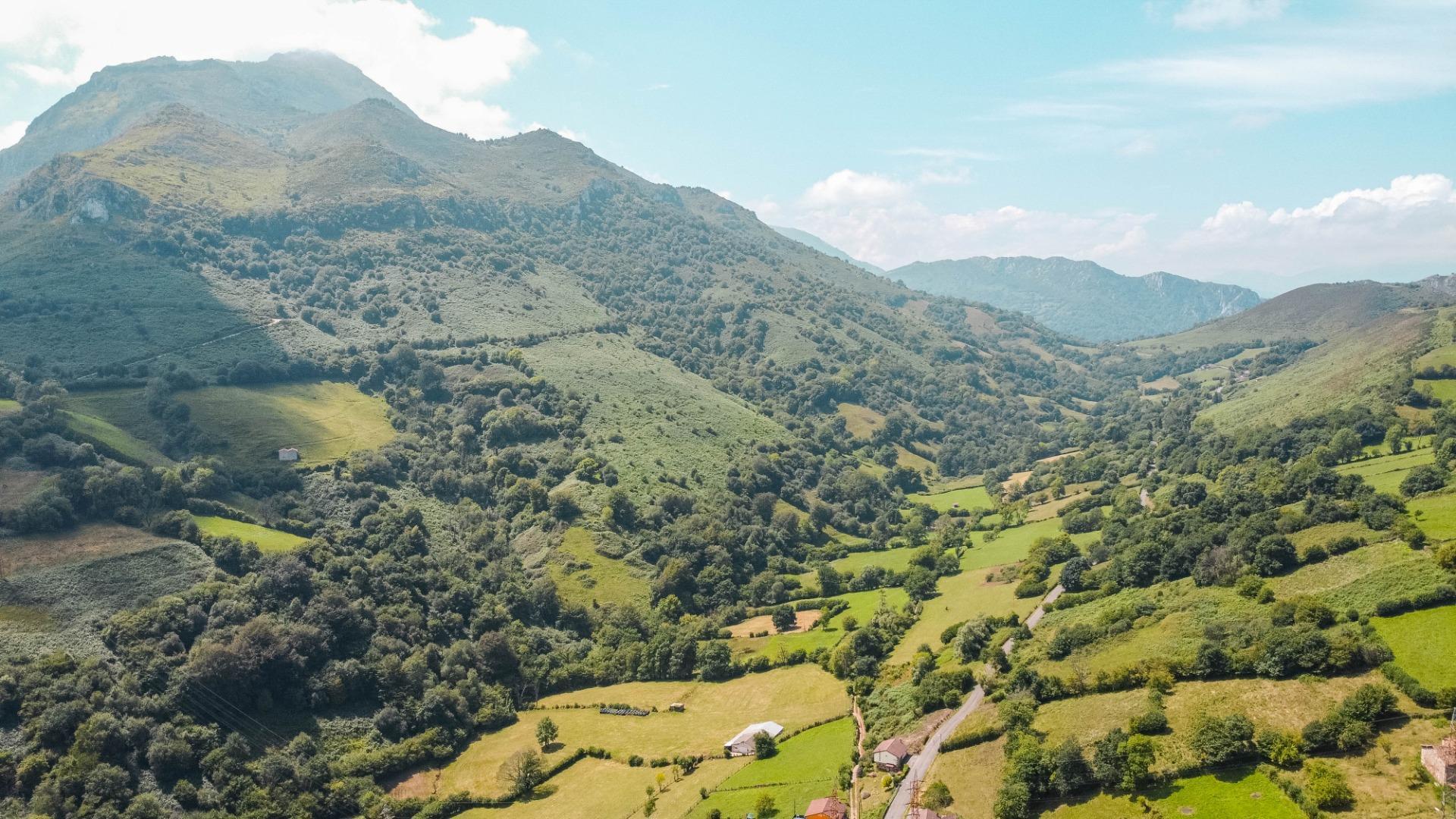 Pisos-Venta-MorcÃ­n-2411367-Foto-25