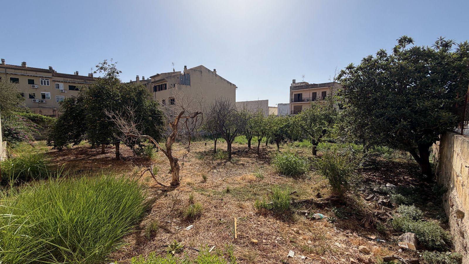 Fincas y solares-Venta-Lloseta-2415089-Foto-4