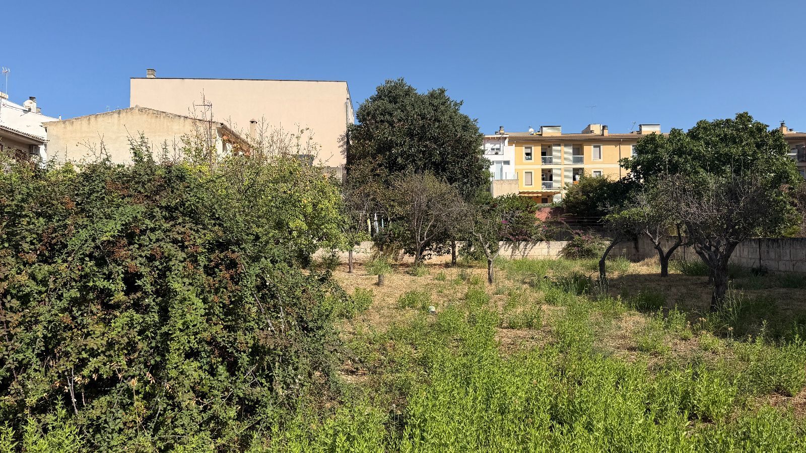 Fincas y solares-Venta-Lloseta-2415089-Foto-5