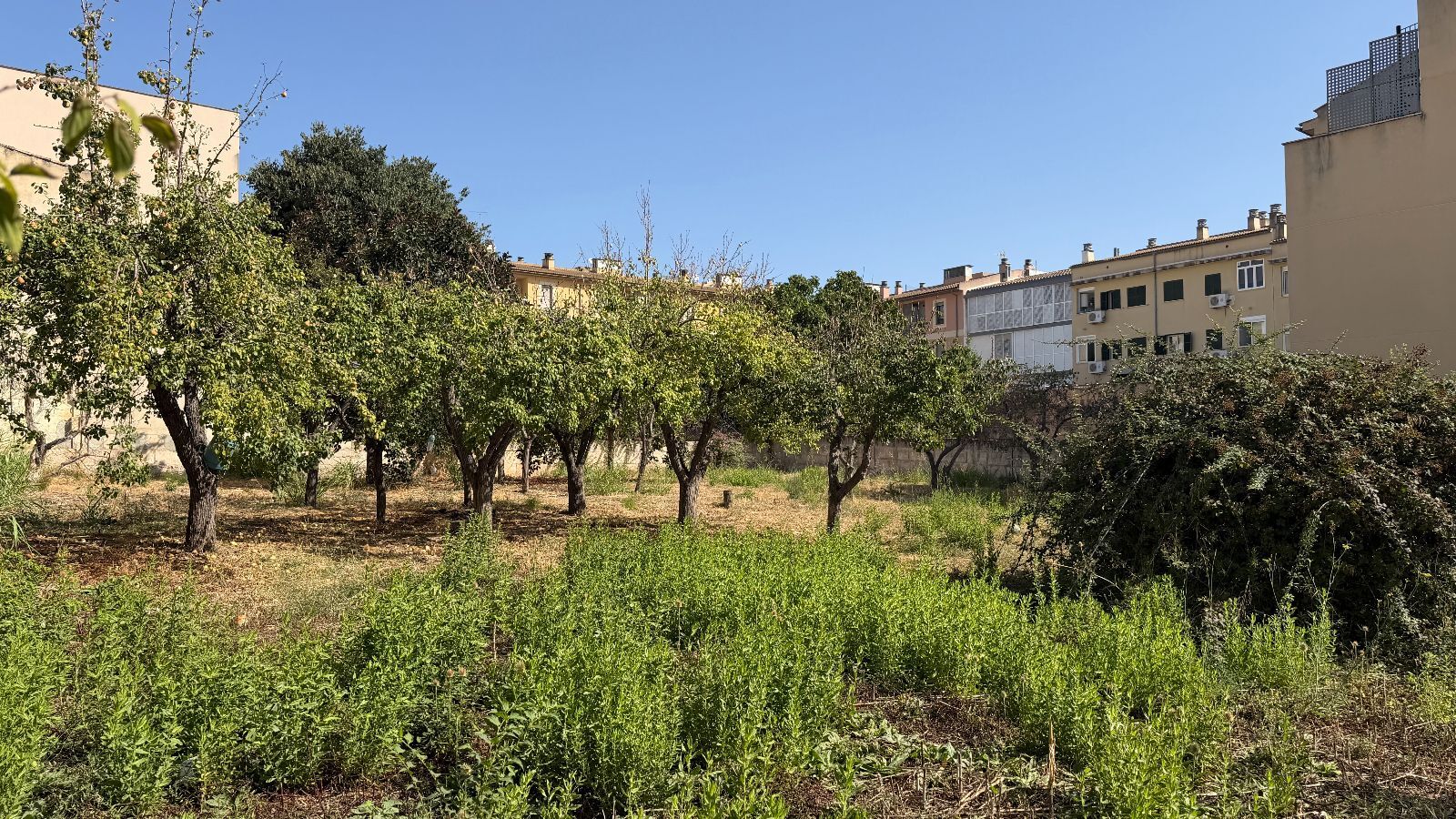 Fincas y solares-Venta-Lloseta-2415089-Foto-6