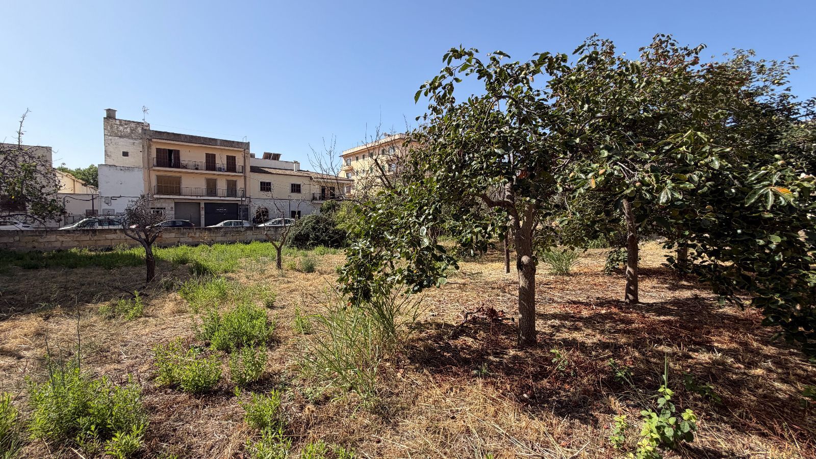 Fincas y solares-Venta-Lloseta-2415089-Foto-7