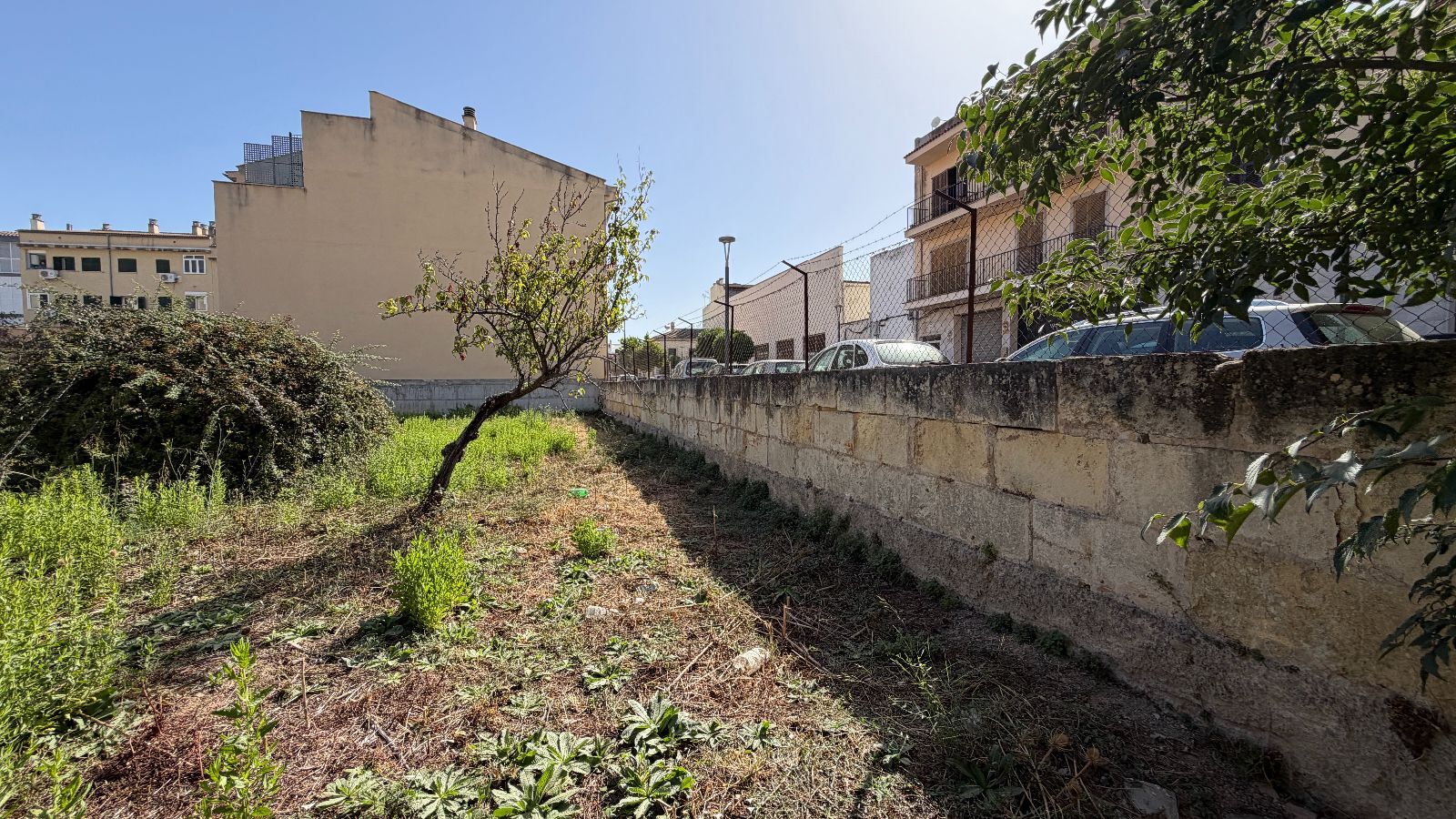 Fincas y solares-Venta-Lloseta-2415089-Foto-8