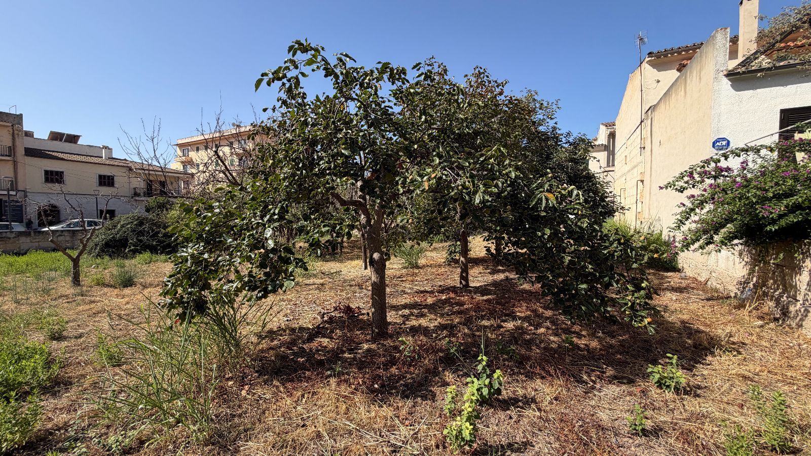 Fincas y solares-Venta-Lloseta-2415089-Foto-10