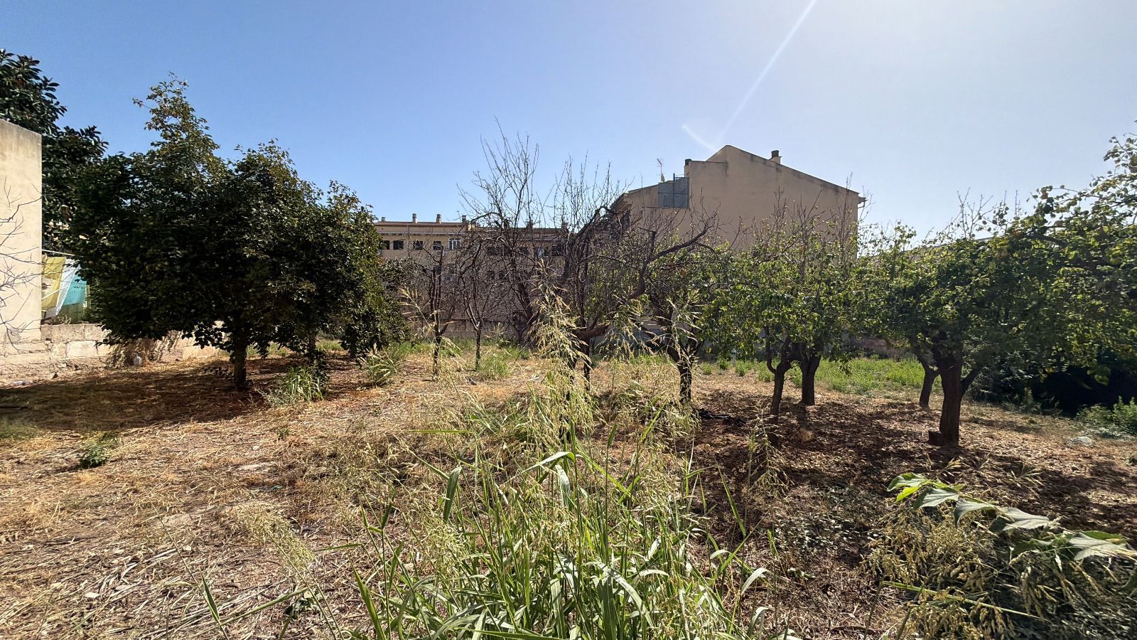 Fincas y solares-Venta-Lloseta-2415089-Foto-11