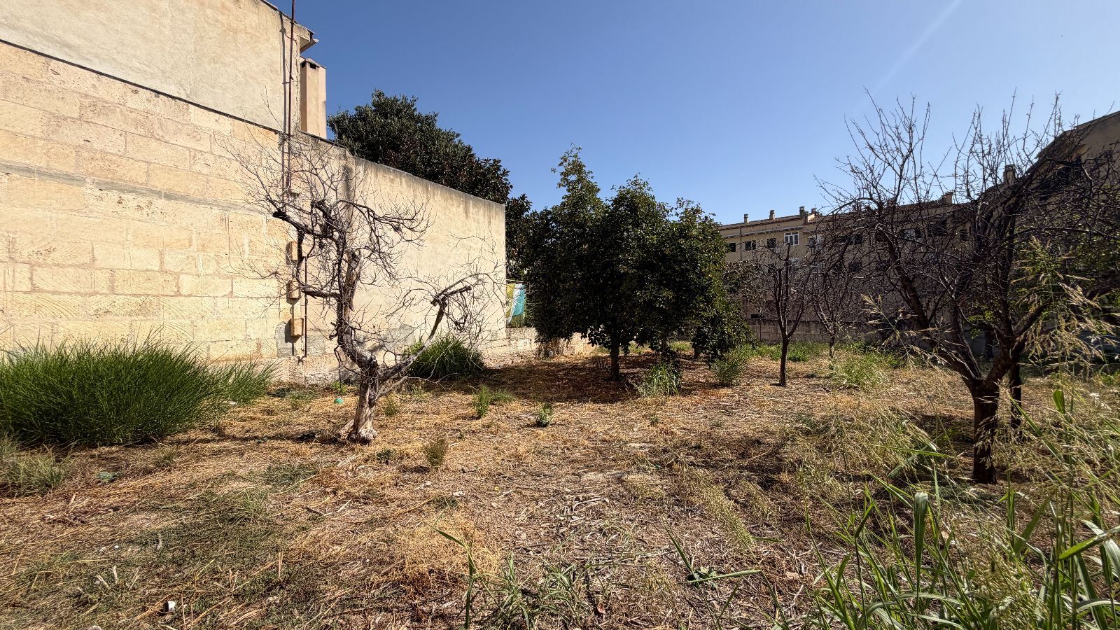 Fincas y solares-Venta-Lloseta-2415089-Foto-12