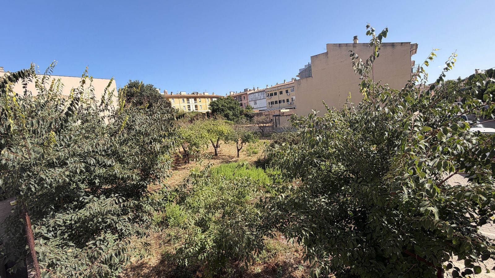 Fincas y solares-Venta-Lloseta-2415089-Foto-17