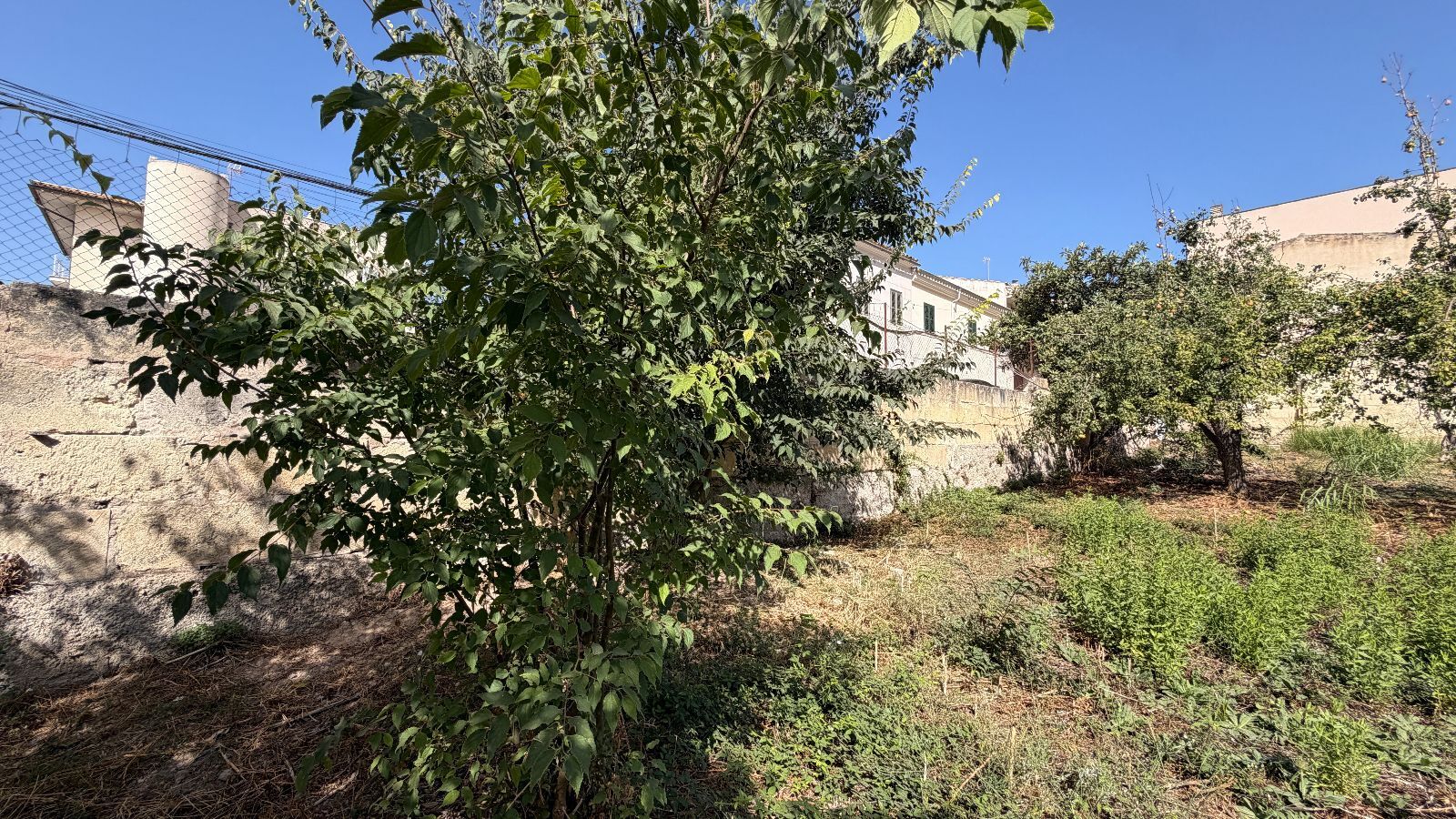 Fincas y solares-Venta-Lloseta-2415089-Foto-20