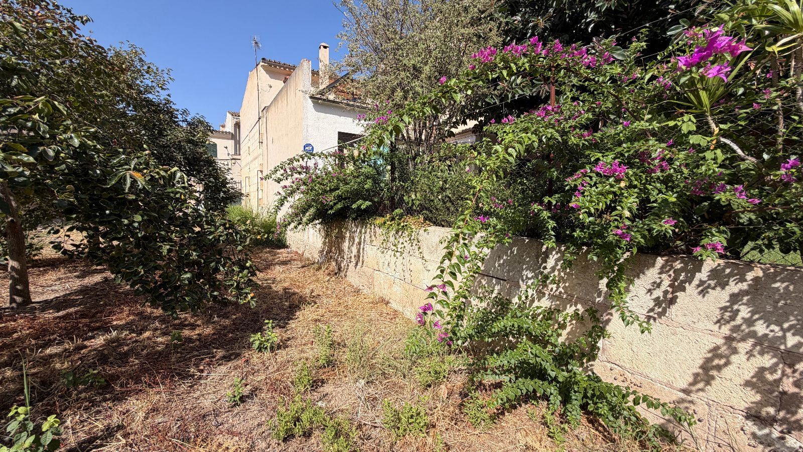 Fincas y solares-Venta-Lloseta-2415089-Foto-21