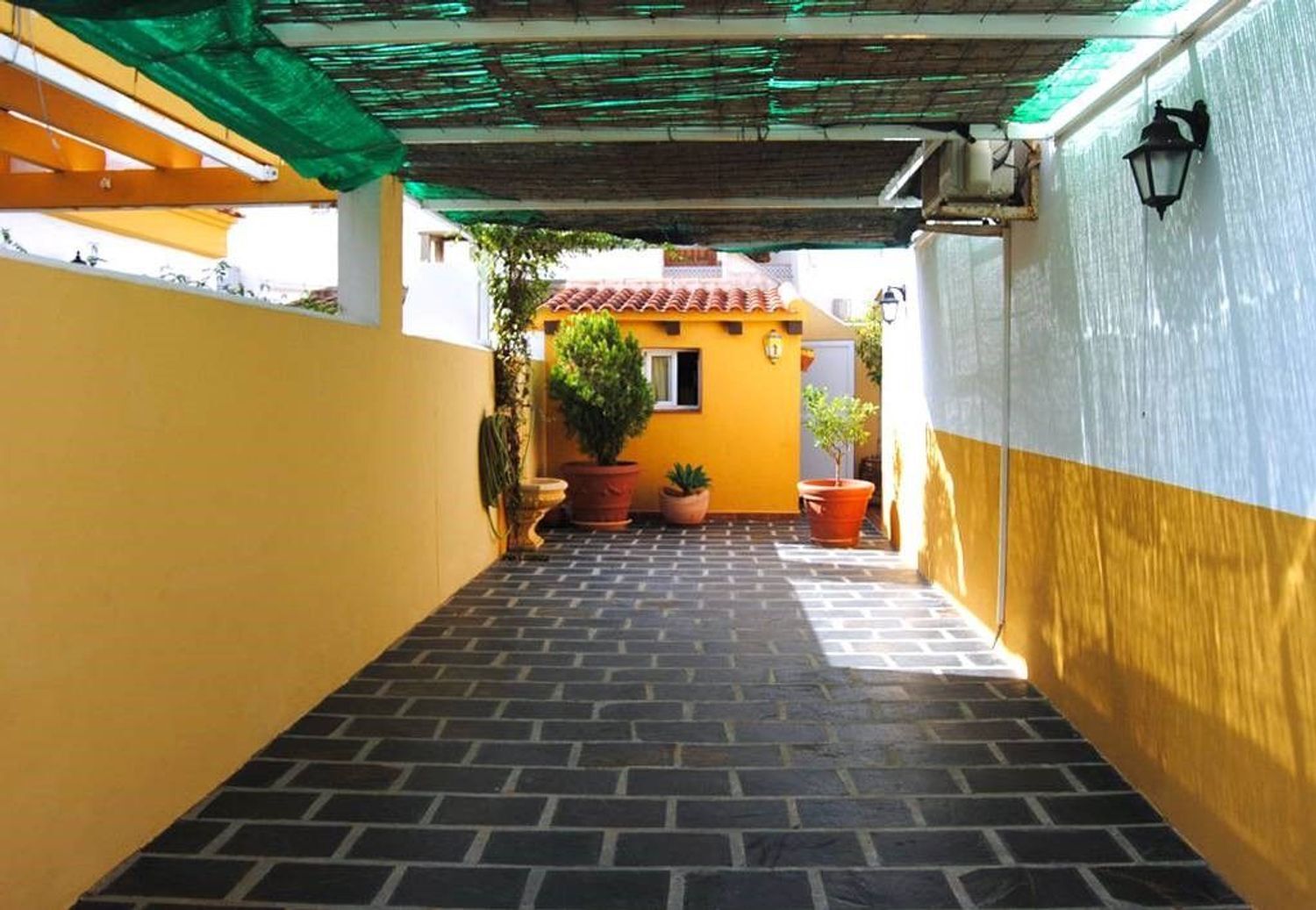 Casas o chalets-Venta-Pilar de la Horadada-443171-Foto-5