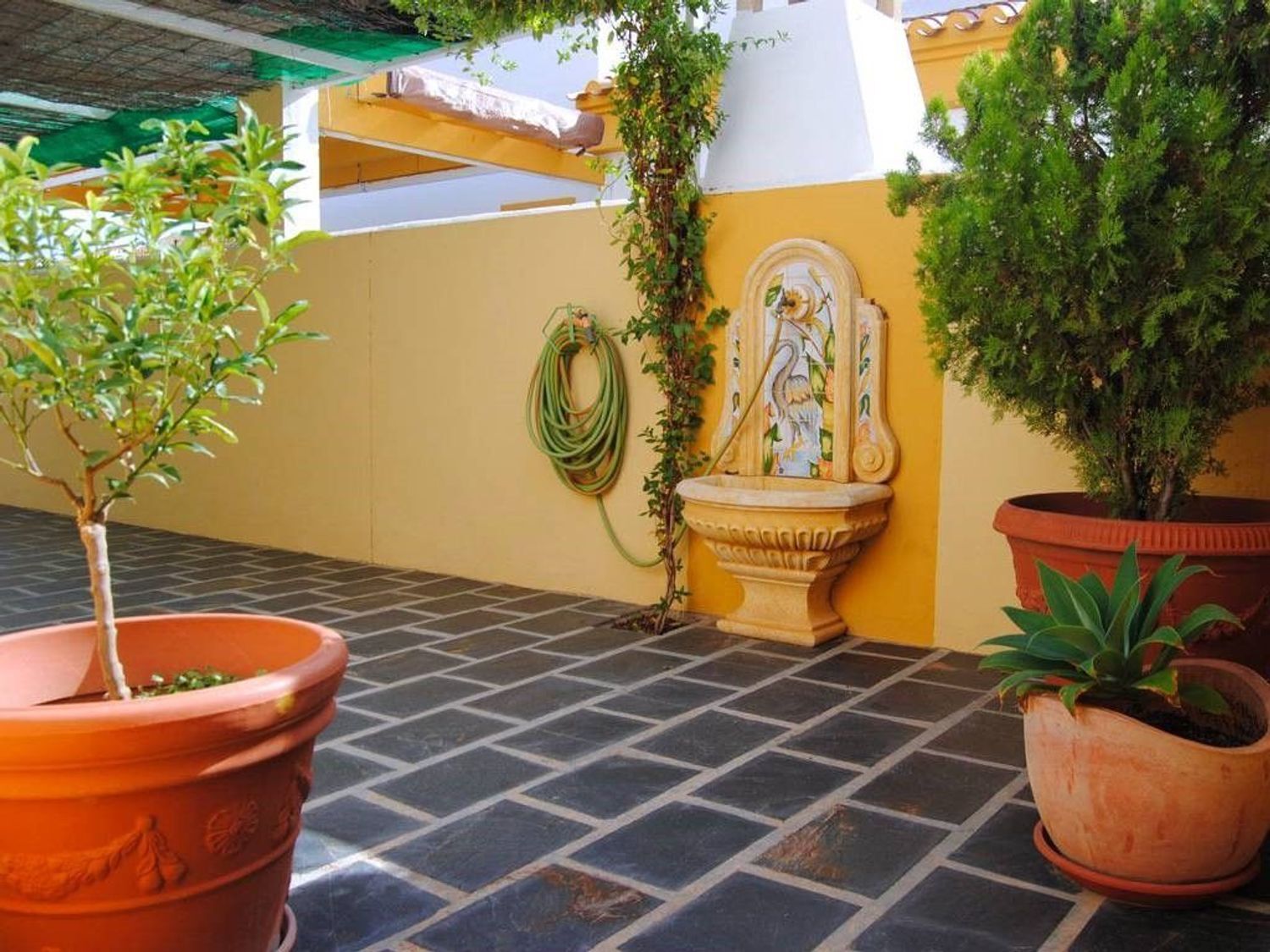 Casas o chalets-Venta-Pilar de la Horadada-443171-Foto-6