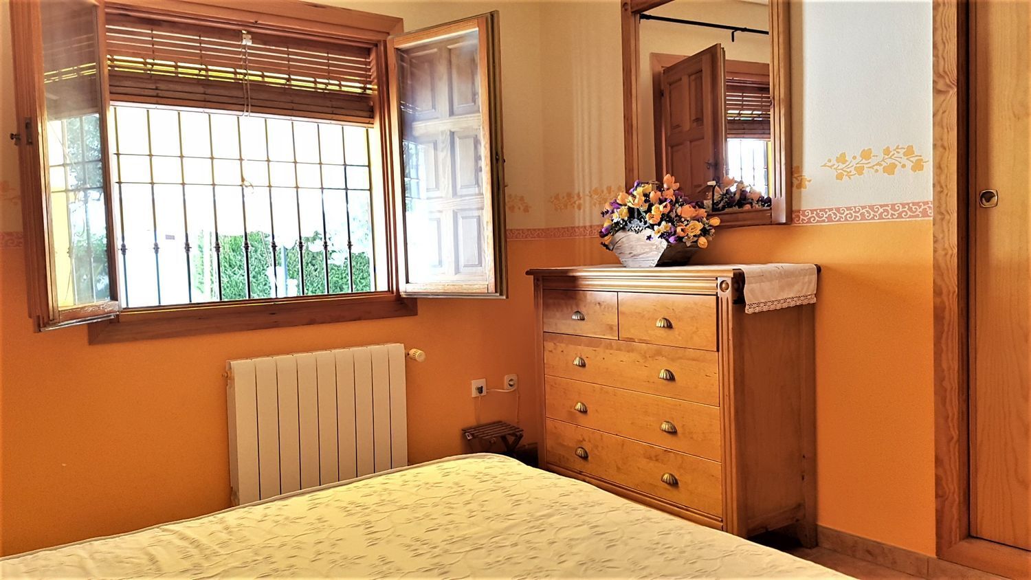 Casas o chalets-Venta-Pilar de la Horadada-443171-Foto-17