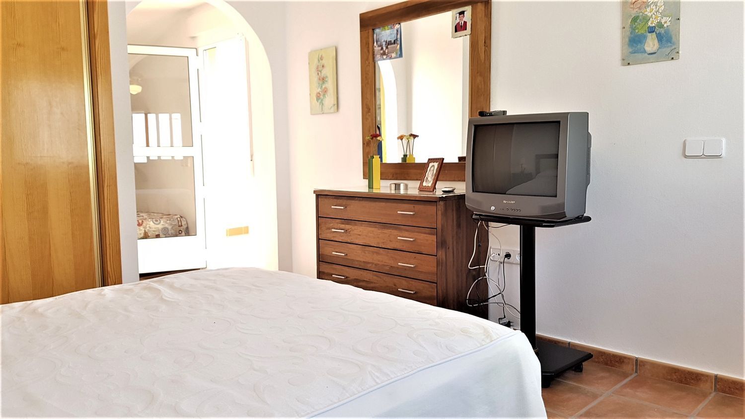 Casas o chalets-Venta-Pilar de la Horadada-443171-Foto-25