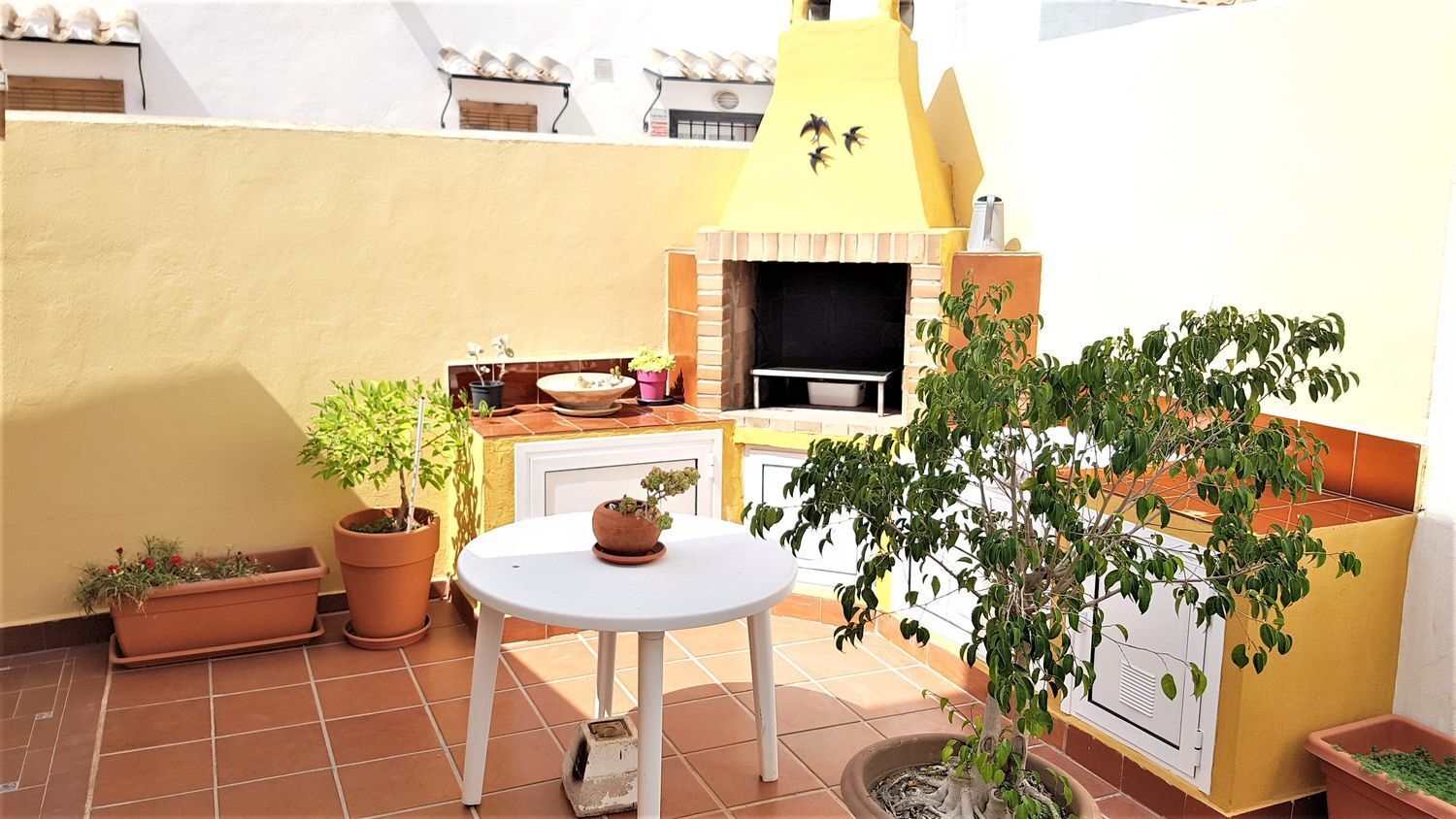 Casas o chalets-Venta-Pilar de la Horadada-443171-Foto-29