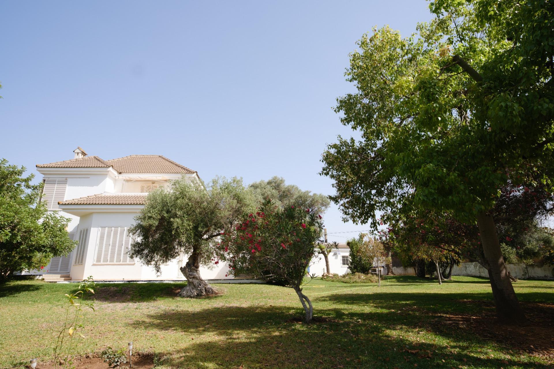 Casas o chalets-Venta-Montequinto-2414072-Foto-58