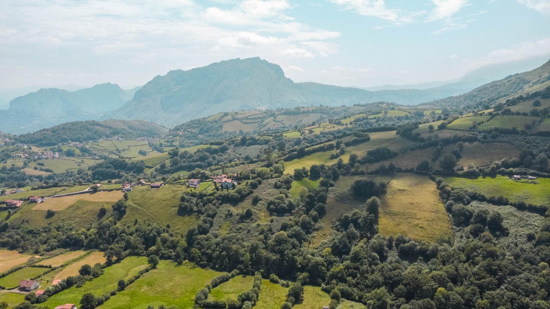 Pisos-Venta-MorcÃ­n-2411367-Foto-23