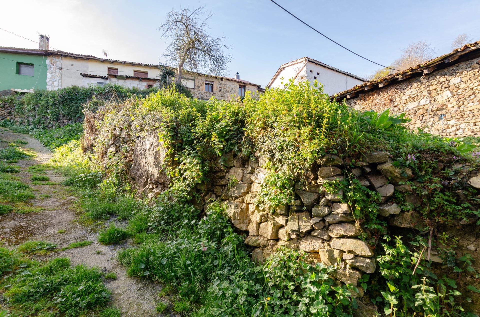 Casas o chalets-Venta-Villena-1712141-Foto-18