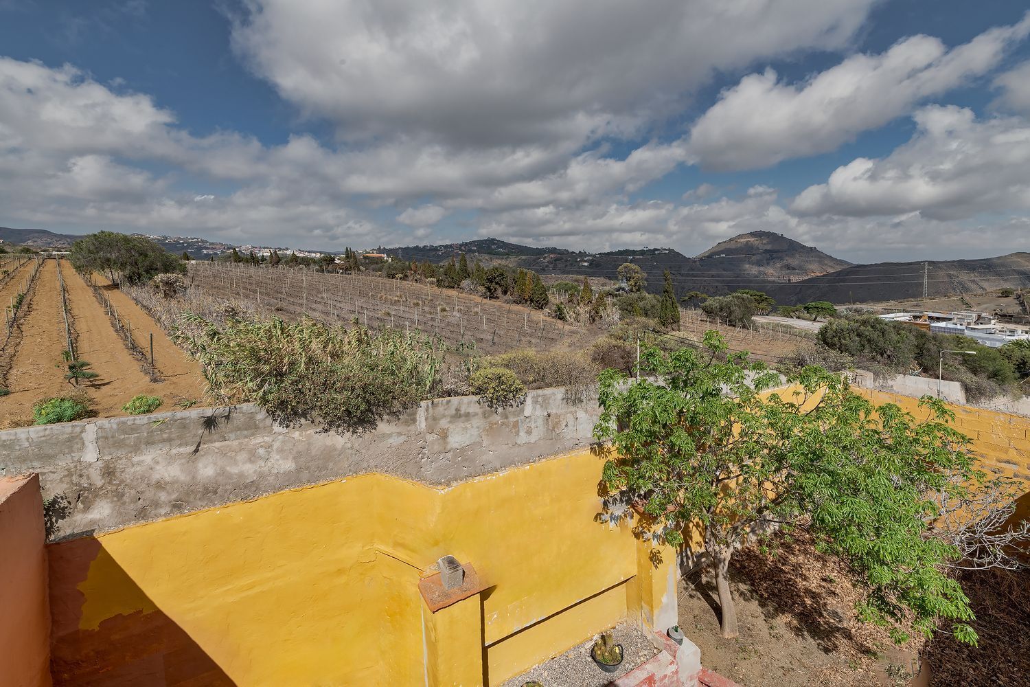 Casas o chalets-Venta-Telde-2249635-Foto-26