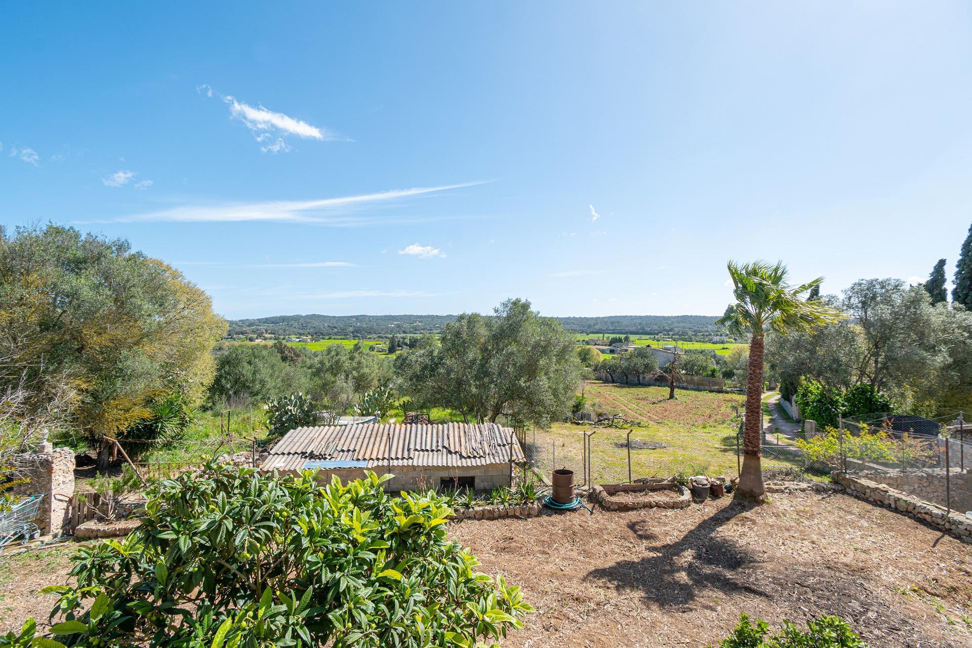 Casas o chalets-Venta-Sencelles-2416988-Foto-21
