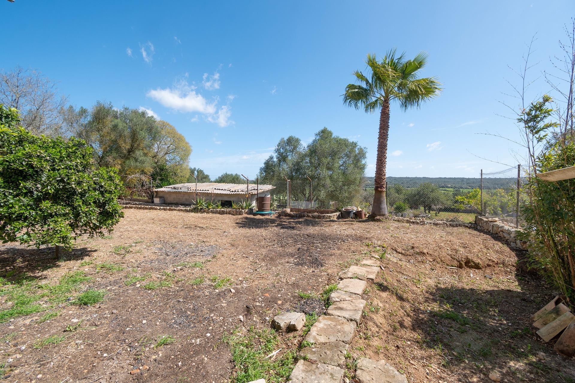 Casas o chalets-Venta-Sencelles-2416988-Foto-46