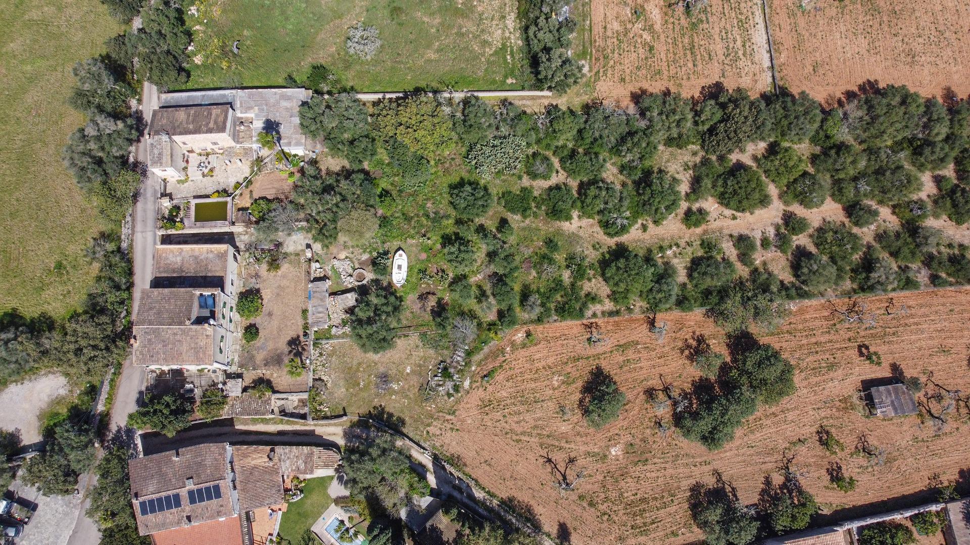 Casas o chalets-Venta-Sencelles-2416988-Foto-51