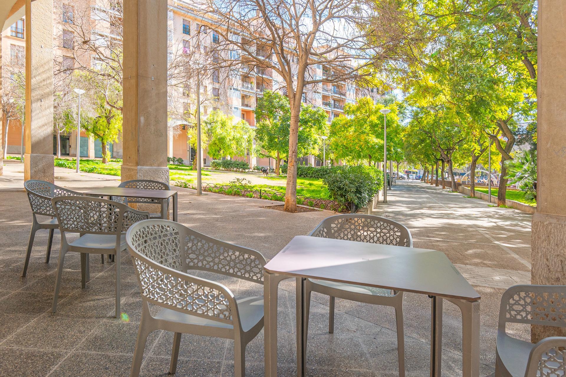 Negocios-Alquiler-Palma de Mallorca-2416994-Foto-20