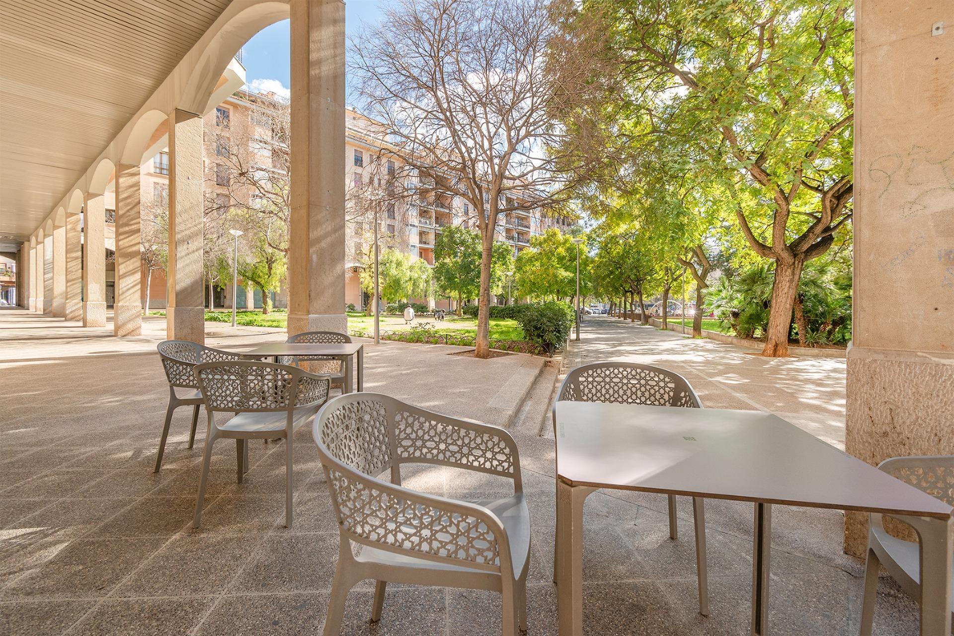 Negocios-Alquiler-Palma de Mallorca-2416994-Foto-24