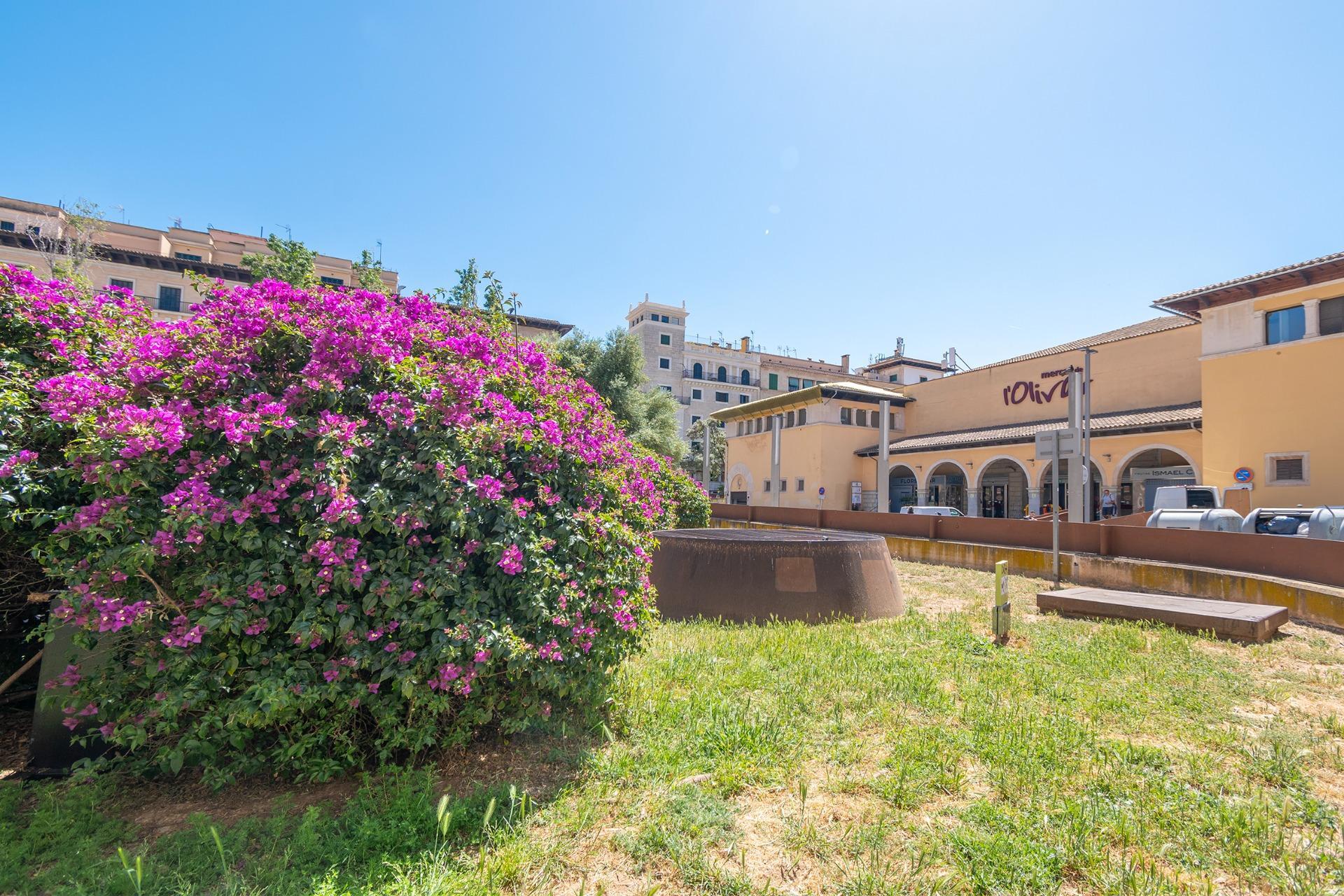 Pisos-Venta-Palma de Mallorca-2416997-Foto-39