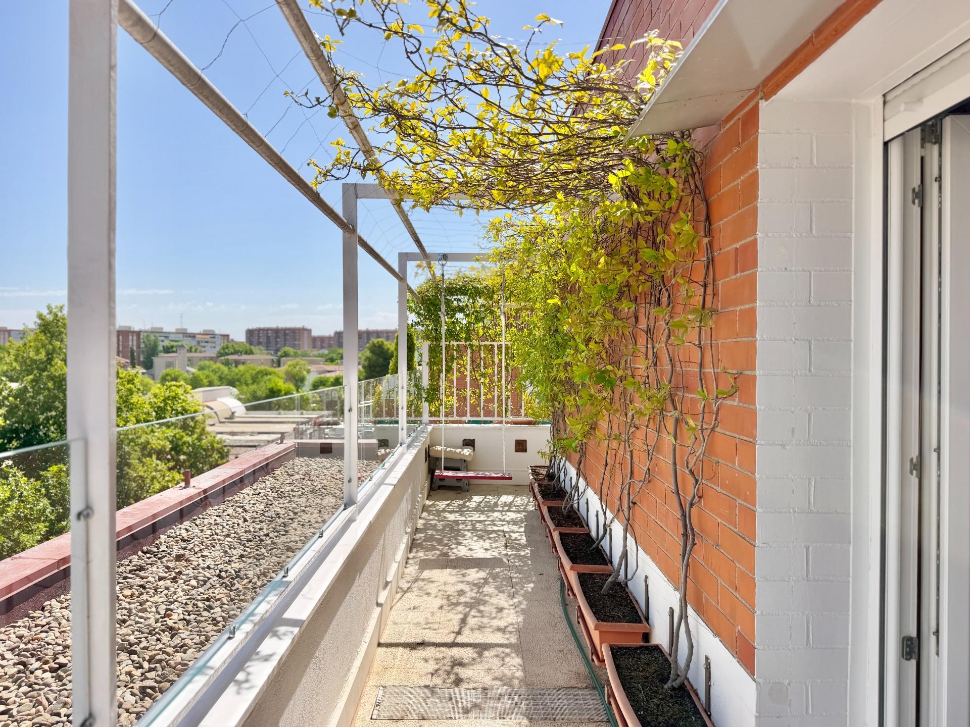 Pisos-Venta-Madrid-2417003-Foto-15