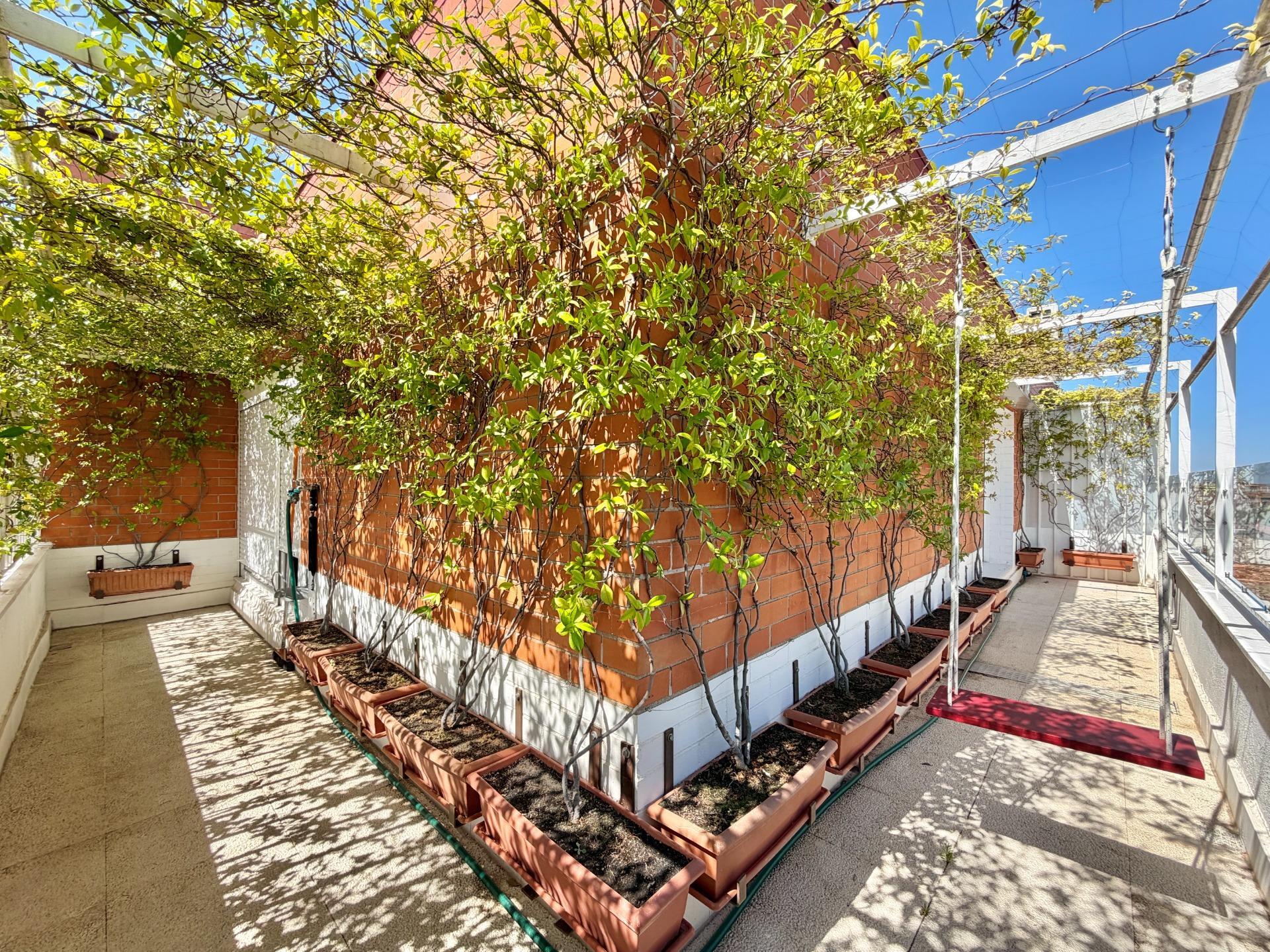 Pisos-Venta-Madrid-2417003-Foto-14