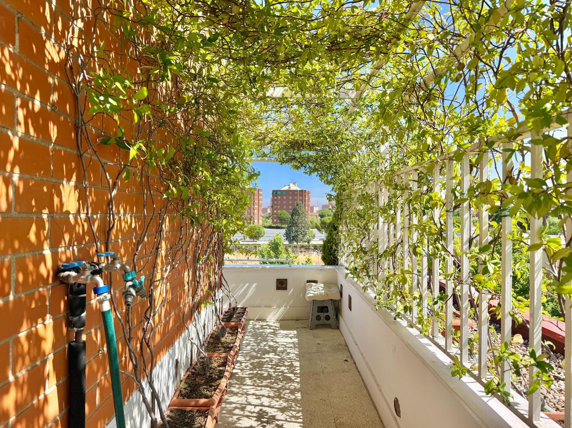 Pisos-Venta-Madrid-2417003-Foto-45