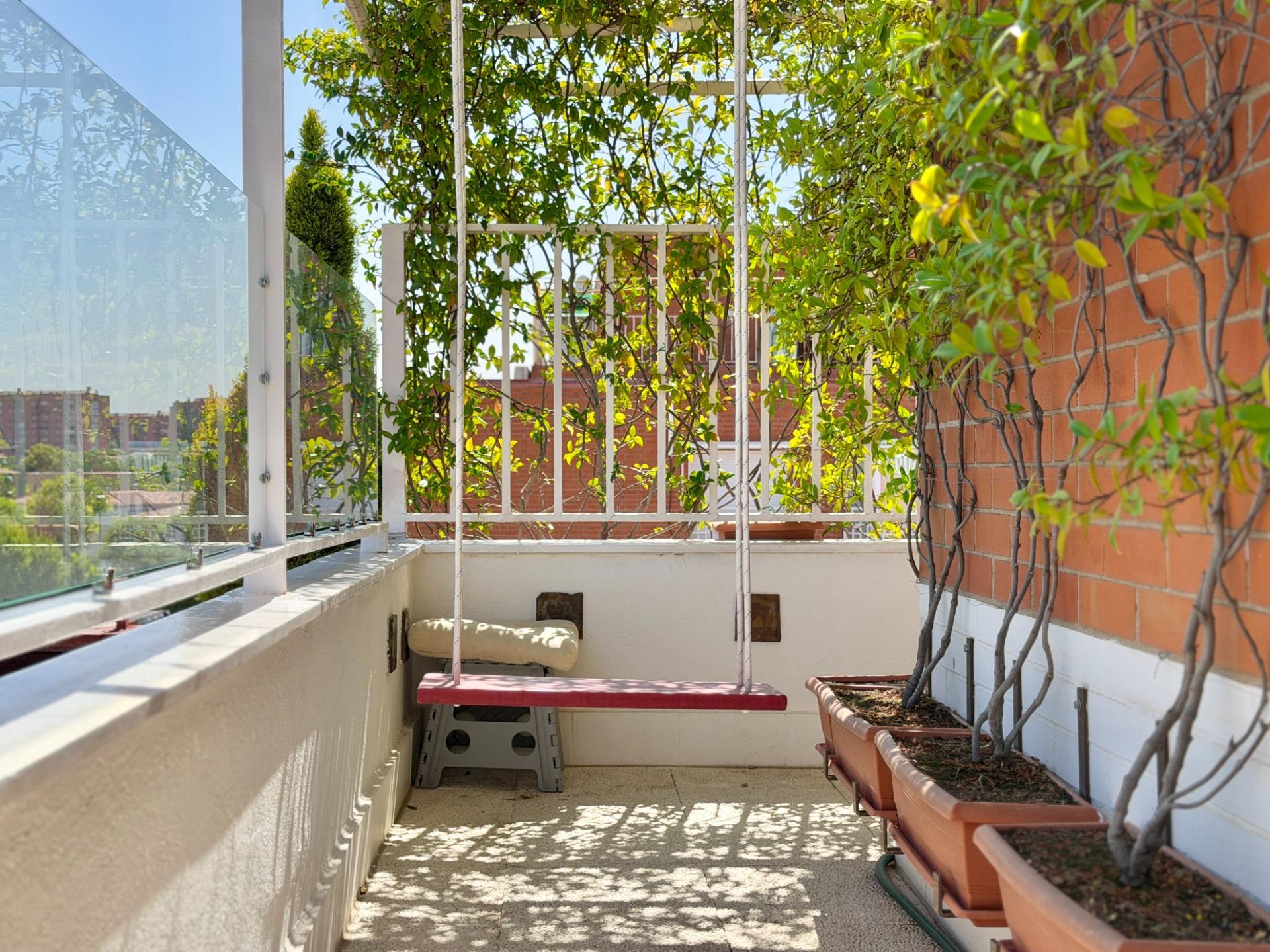 Pisos-Venta-Madrid-2417003-Foto-44